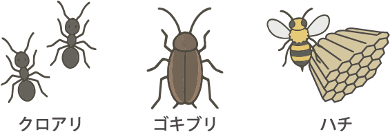 クロアリ・ゴキブリ・ハチ