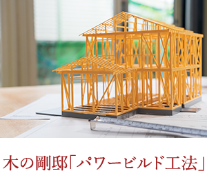木の剛邸「パワービルド工法」