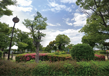くすのき公園