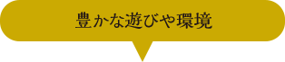 豊かな遊びや環境