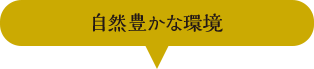 自然な環境