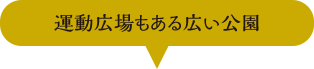 運動広場もある広い公園