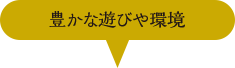 豊かな遊びや環境