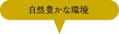 自然豊かな環境