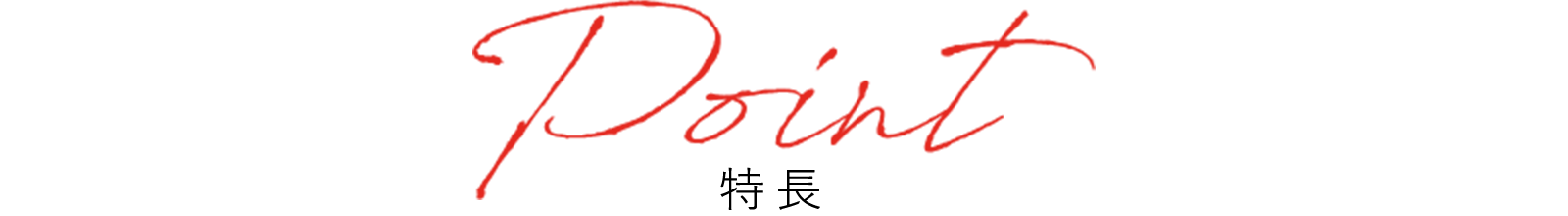 Point 特長