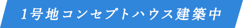 1号地コンセプトハウス建築中