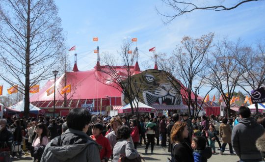 春のイベント