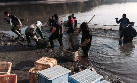 山田池公園🎣池の水を全部抜く…！