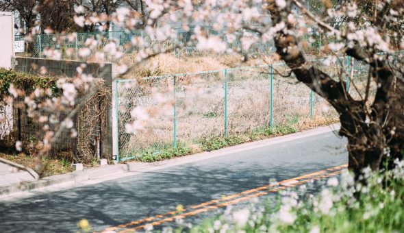 事業用借地