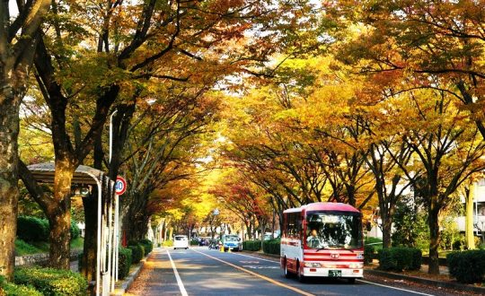 【残り1区画】大人気🌳ゼフィーユ香里ヶ丘🌳をレポート🏁