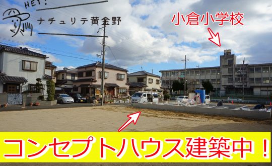 ナチュリテ黄金野・コンセプトハウス建築中です！