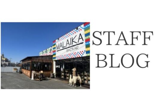 【STAFFBLOG】枚方市宮之阪にあるエスニック雑貨店『マライカ』に行ってきました！