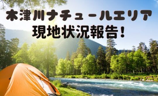 【木津川ナチュールエリア】現地状況報告！