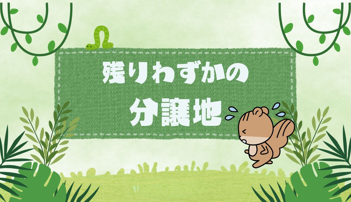 おうちパーティー残りわずか(;’∀’)