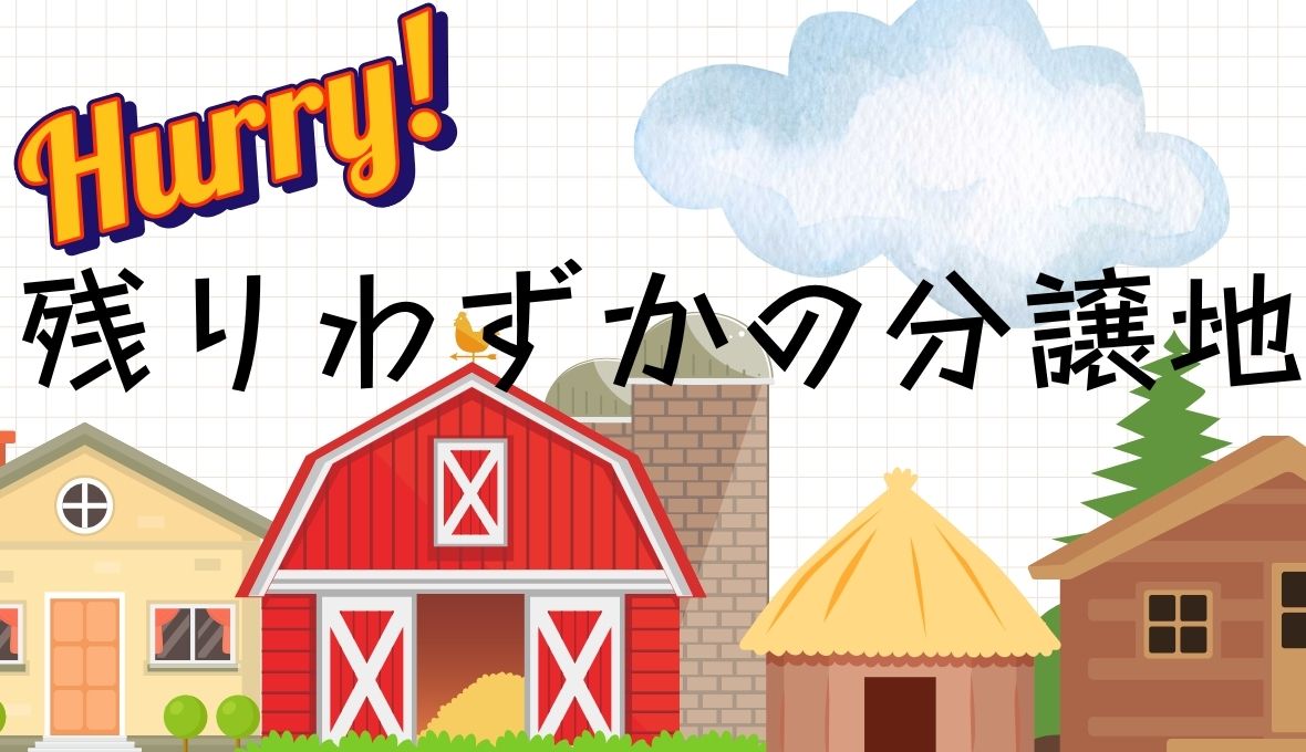 ソラーレ枚方残りわずか(;’∀’)