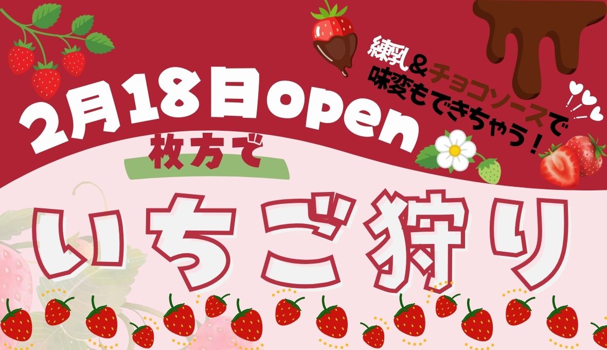 枚方でいちご狩り♪