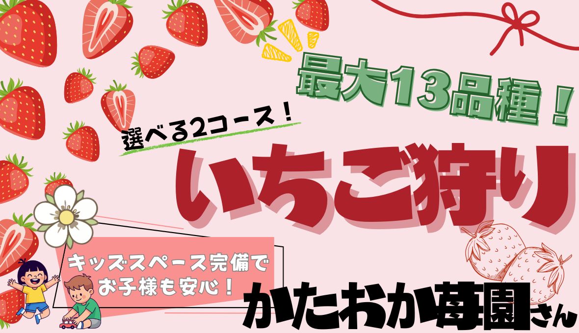 かたおか苺園♪